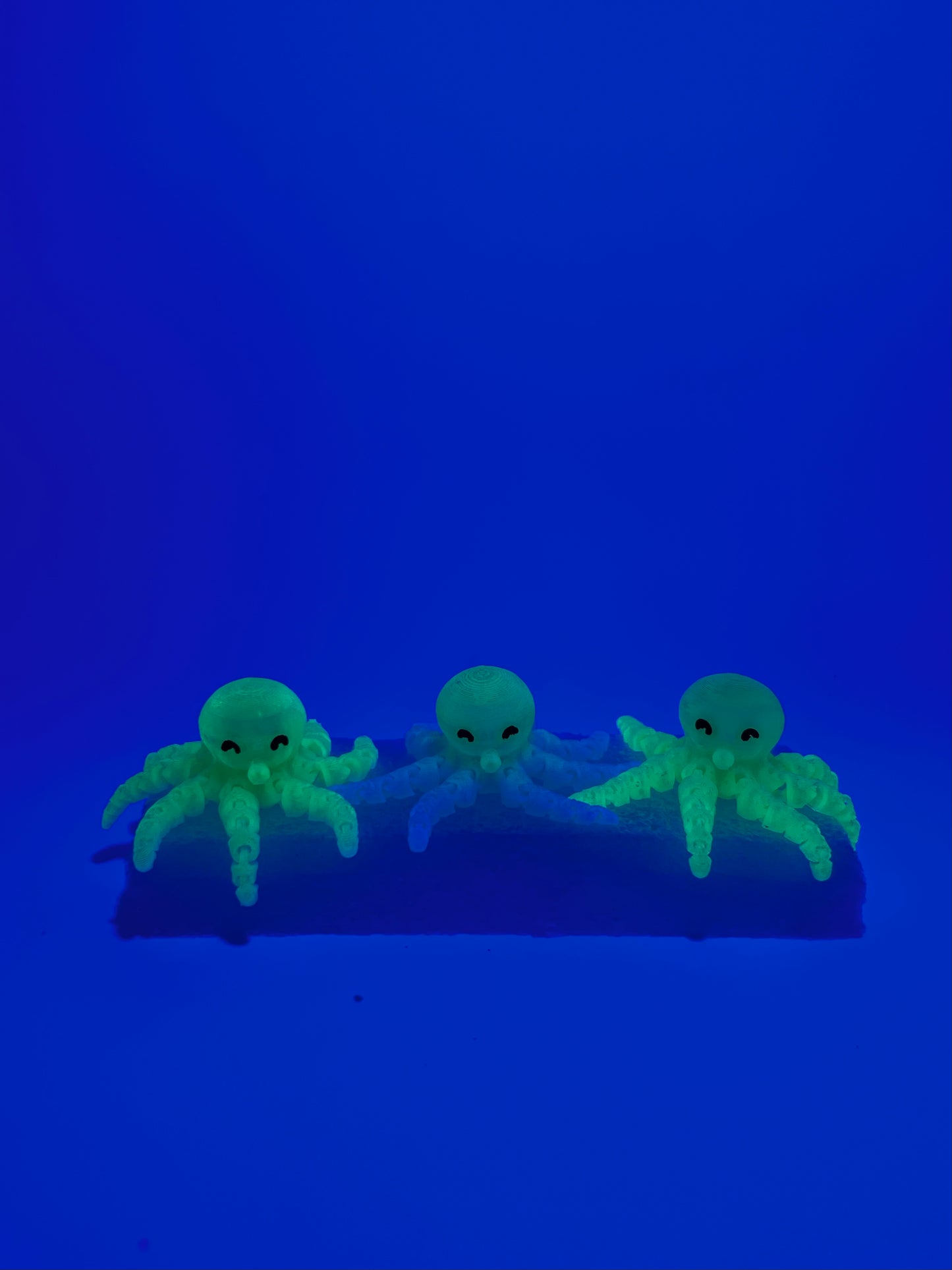 3D Octopus Brim Buddiez