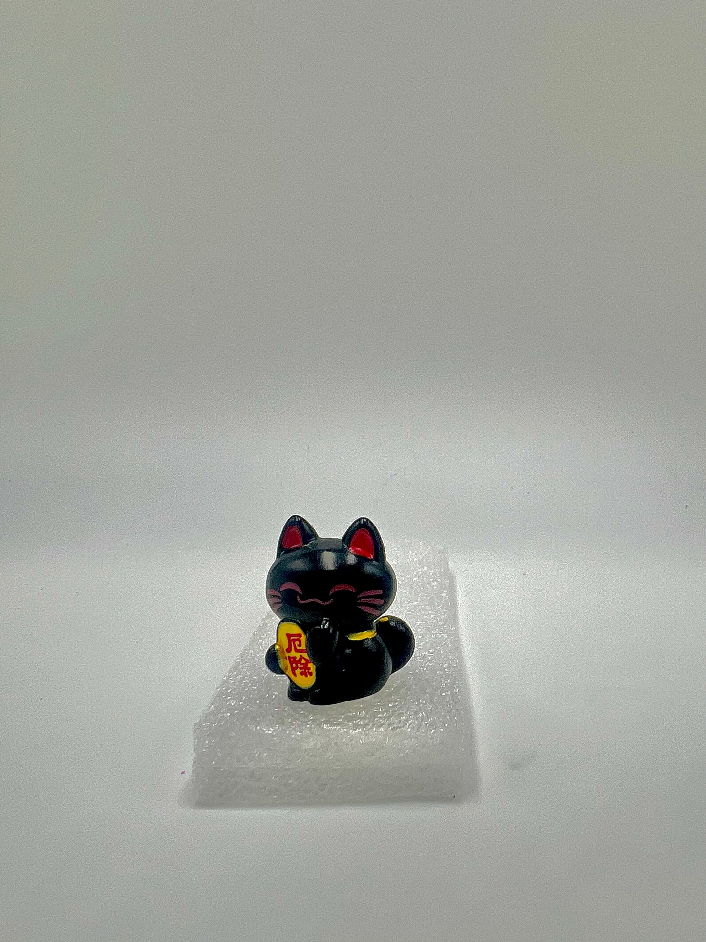 Lucky, the Cat