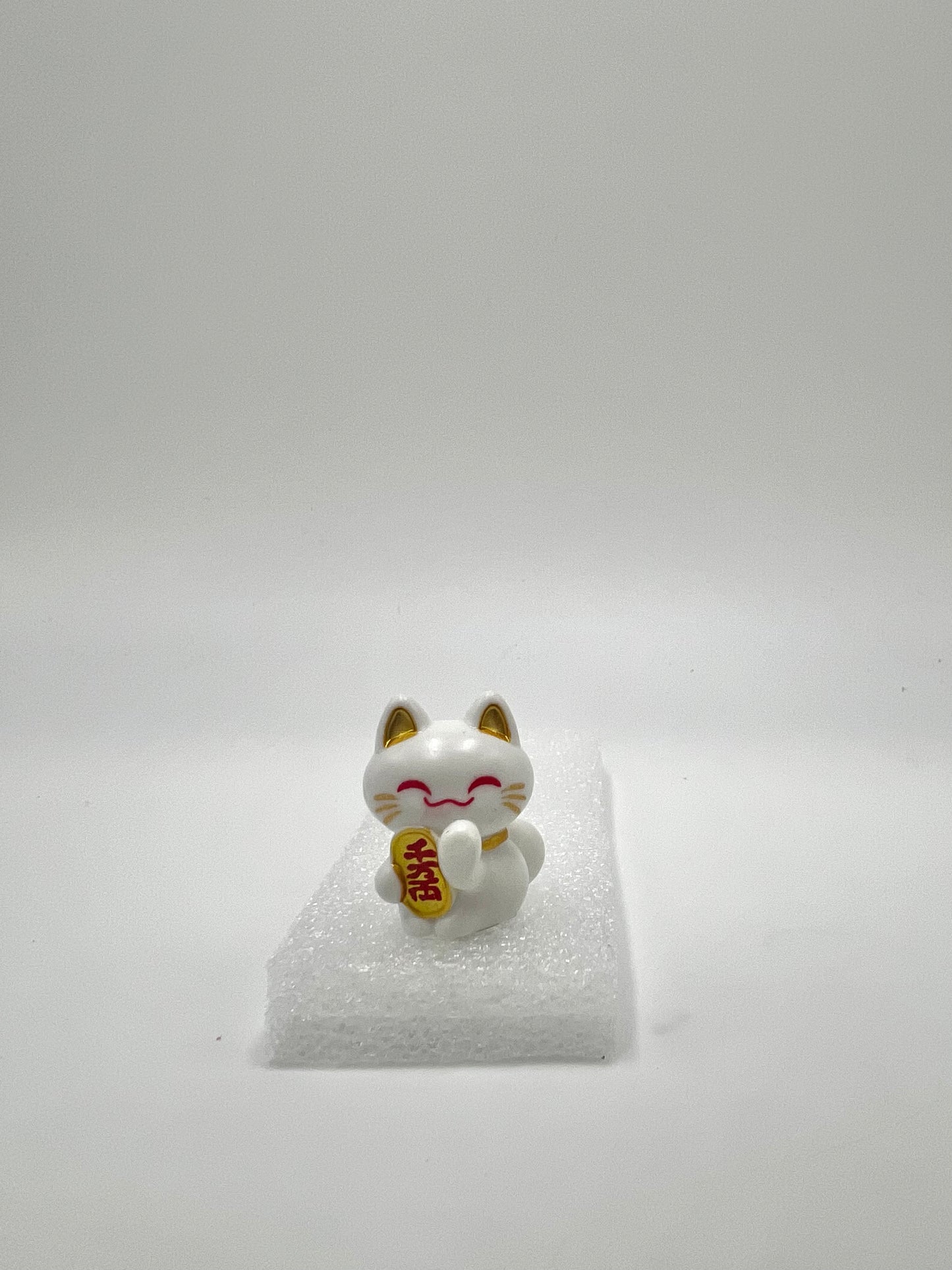 Lucky, the Cat