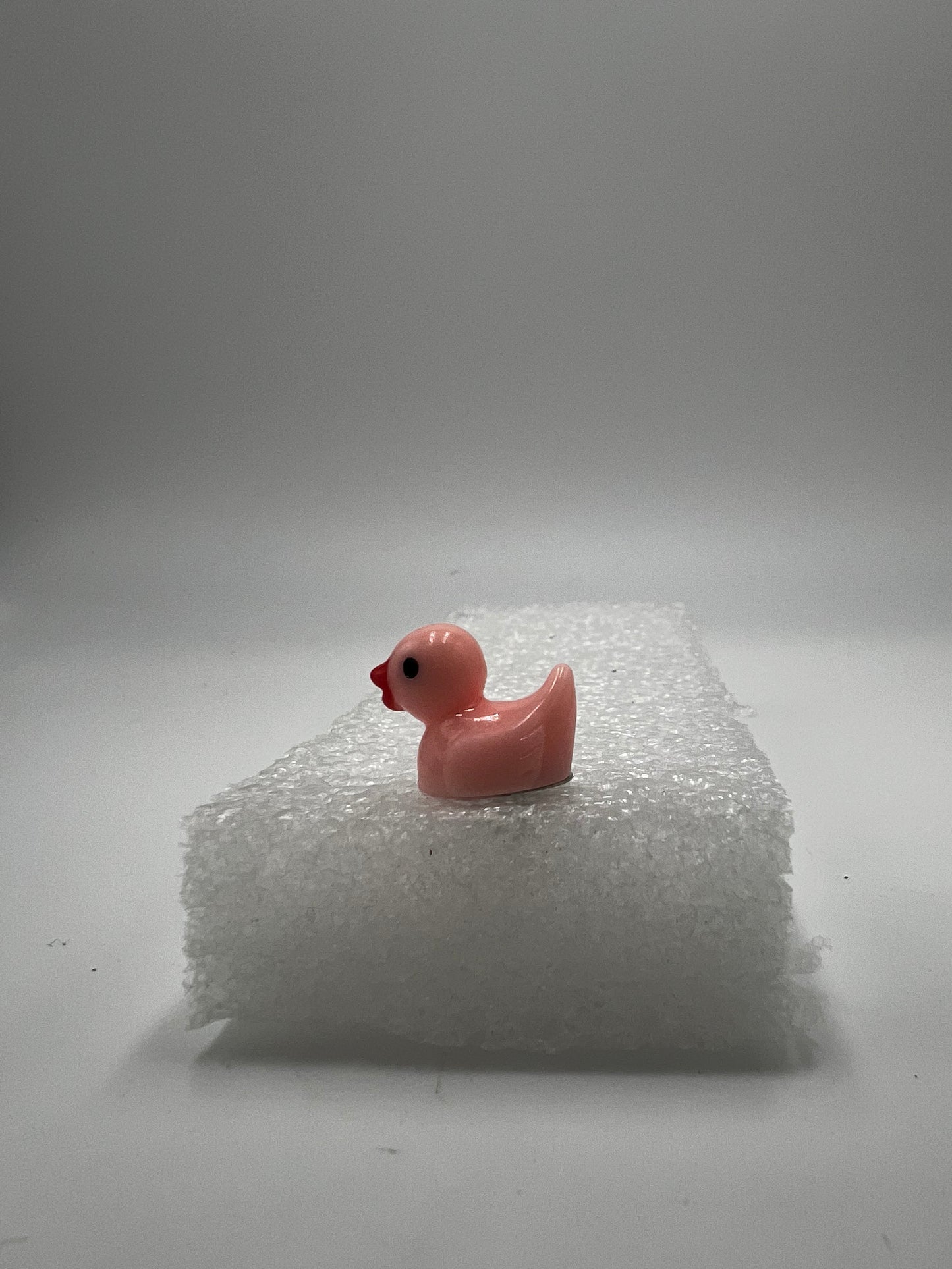 Duckies