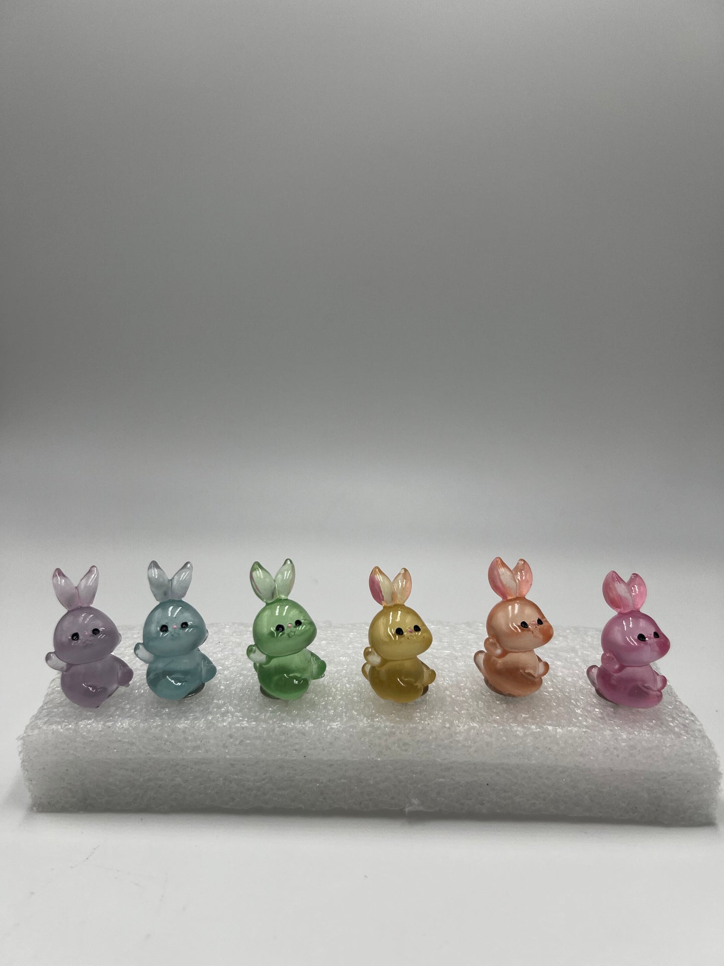Friendly Bunny