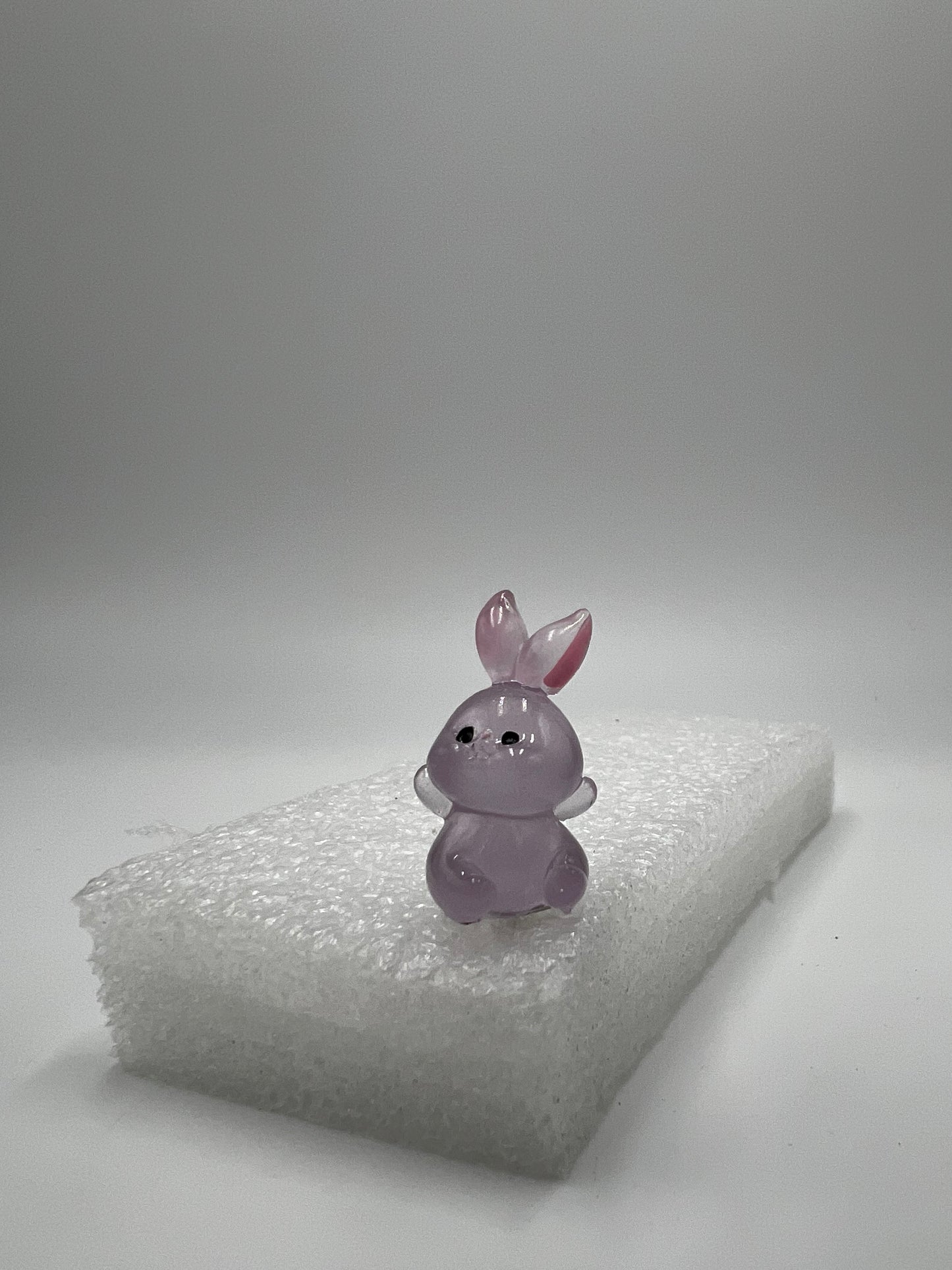 Friendly Bunny
