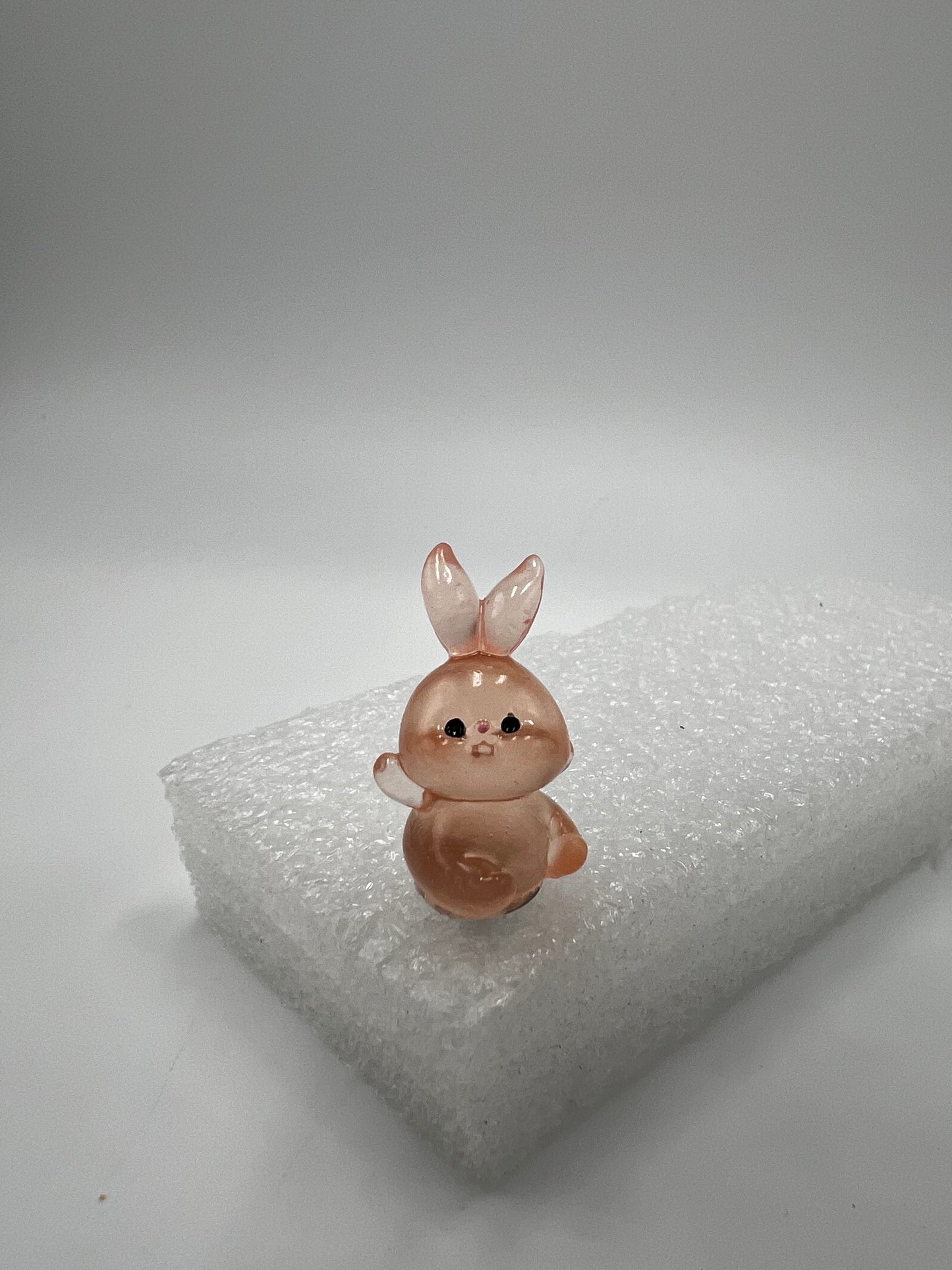 Friendly Bunny