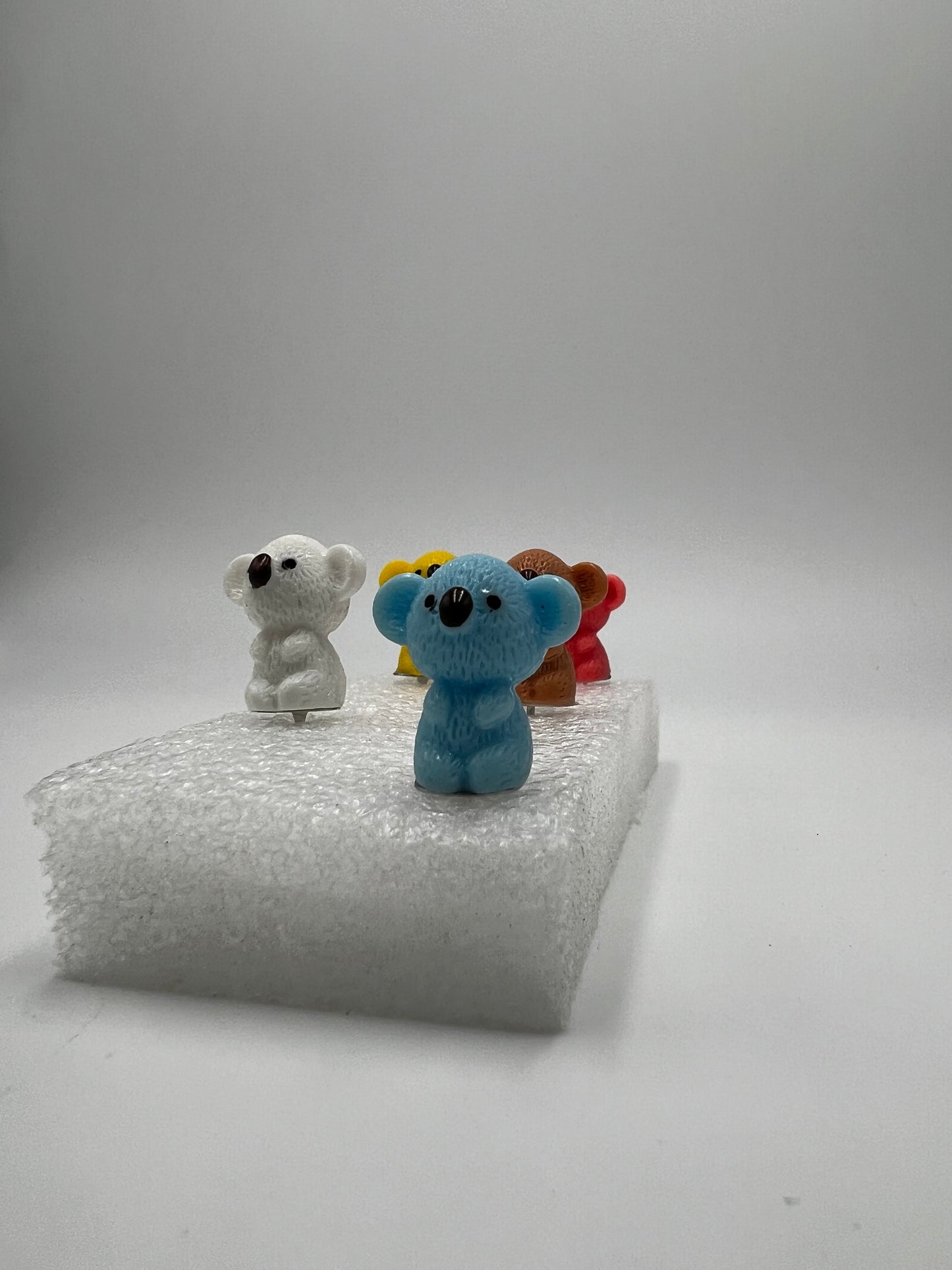 Colorful Koalas