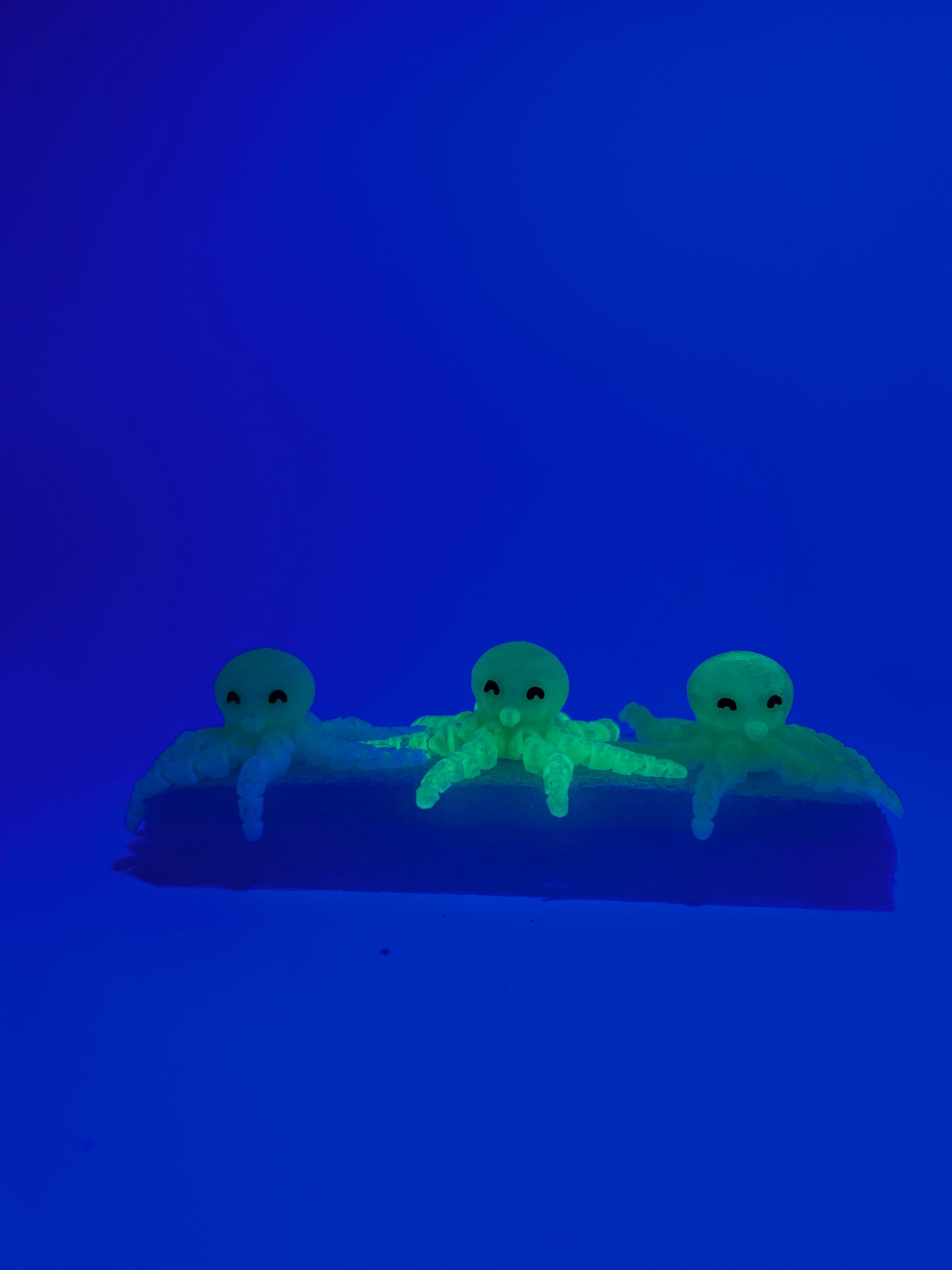 3D Octopus Brim Buddiez