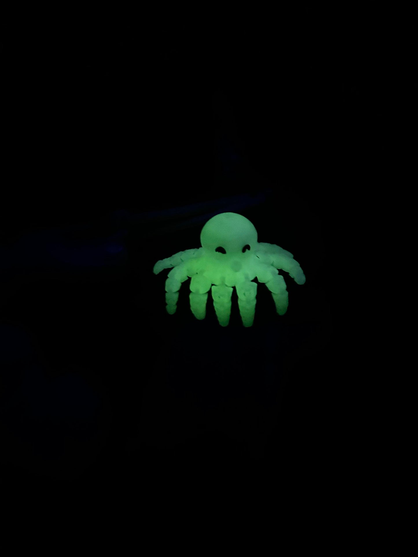 3D Octopus Brim Buddiez