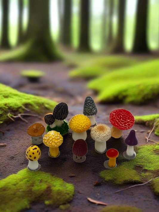 Wild Shrooms