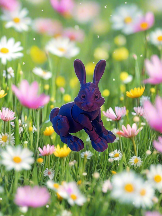 3D Cottontail