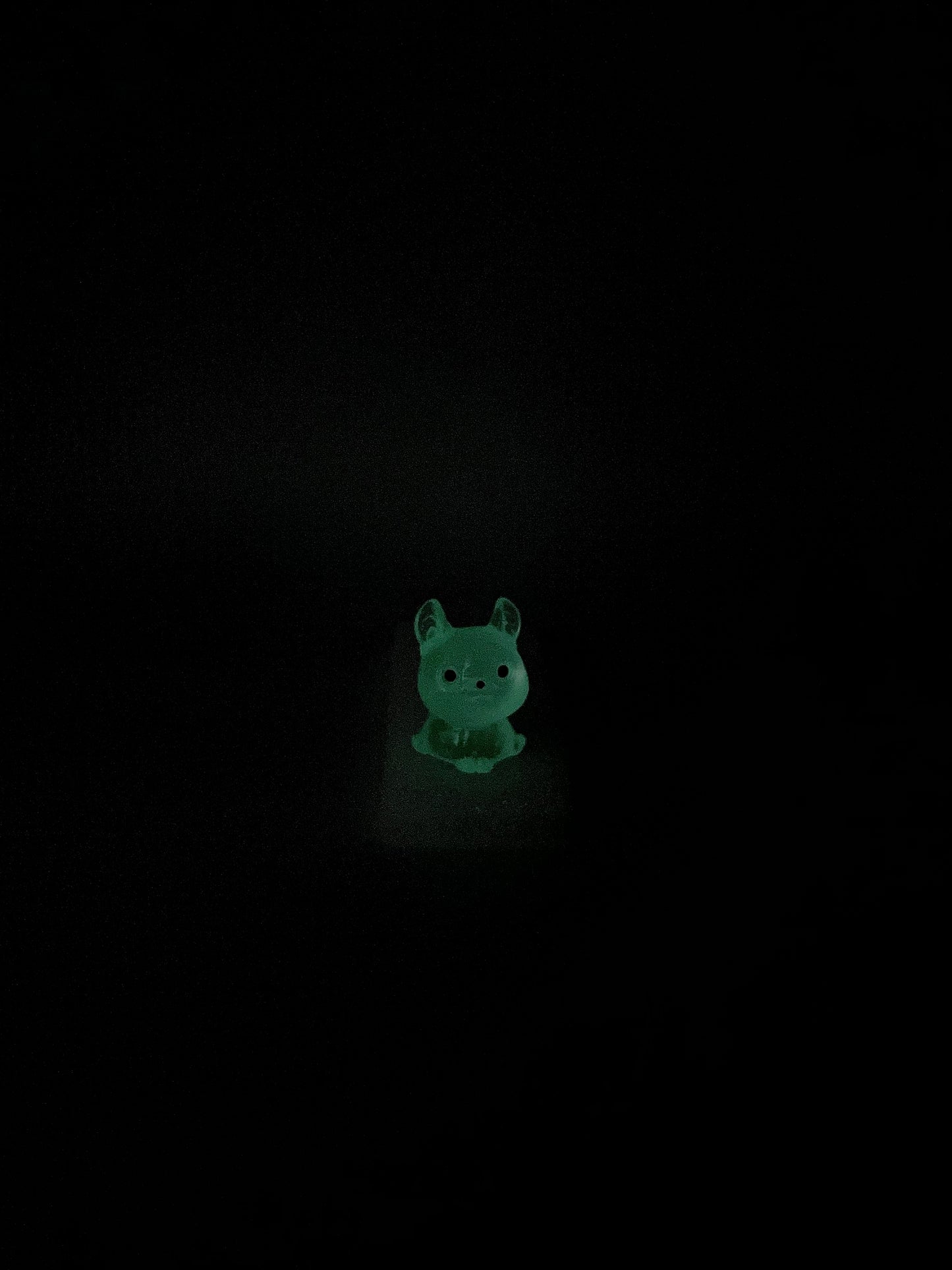 GLOW Chihuahua