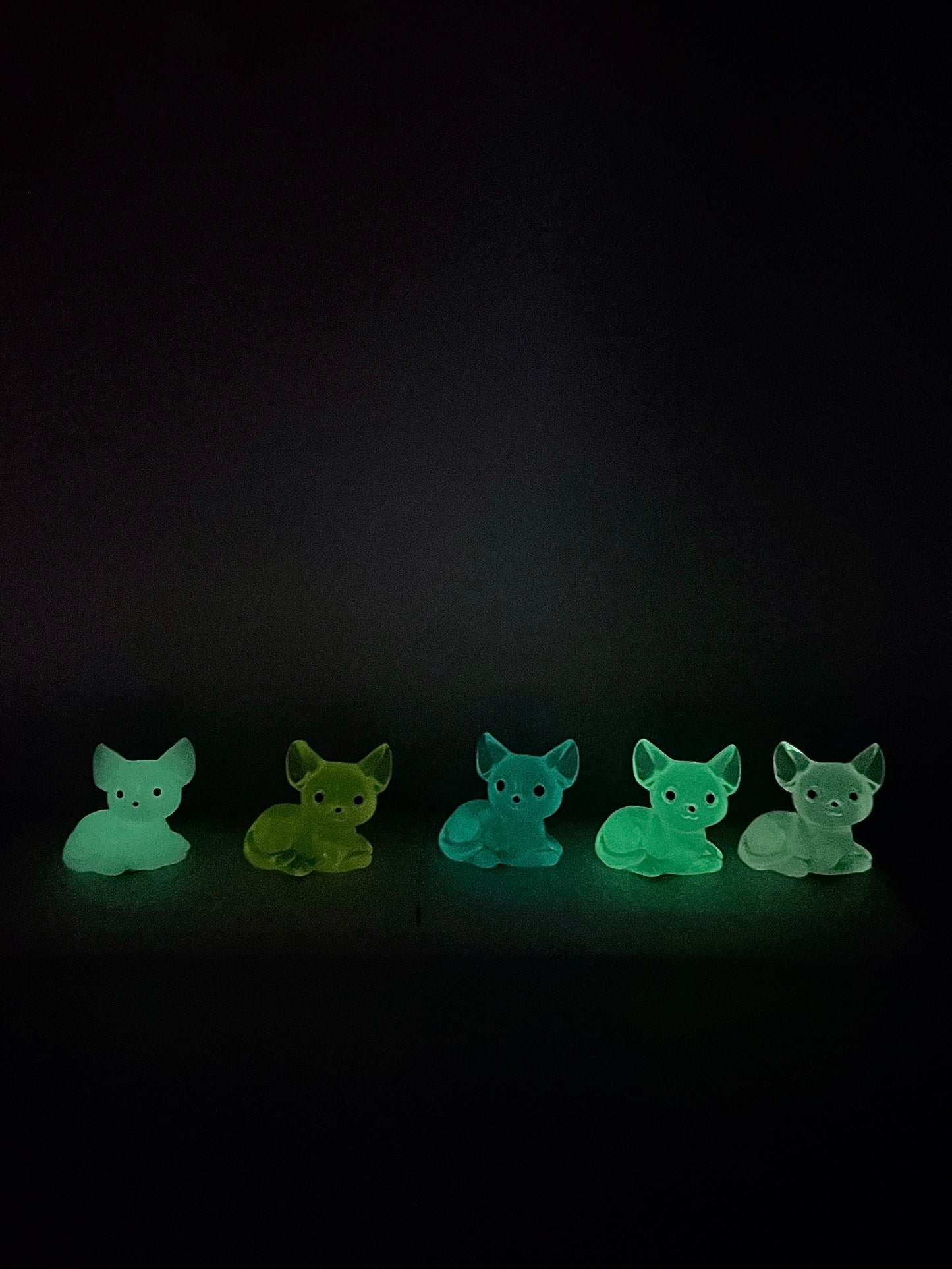 GLOW Chihuahua