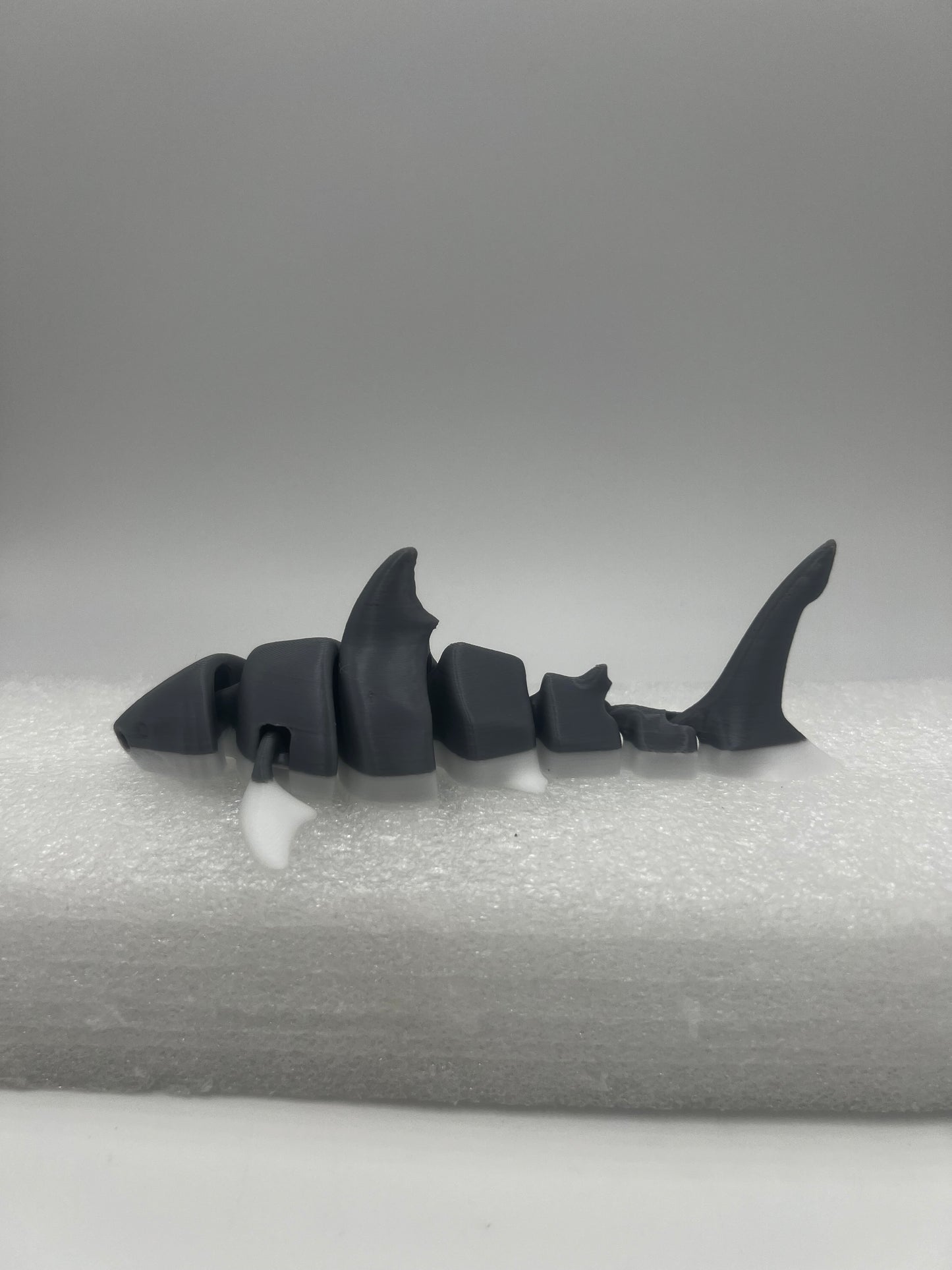 3D Great White Sharks