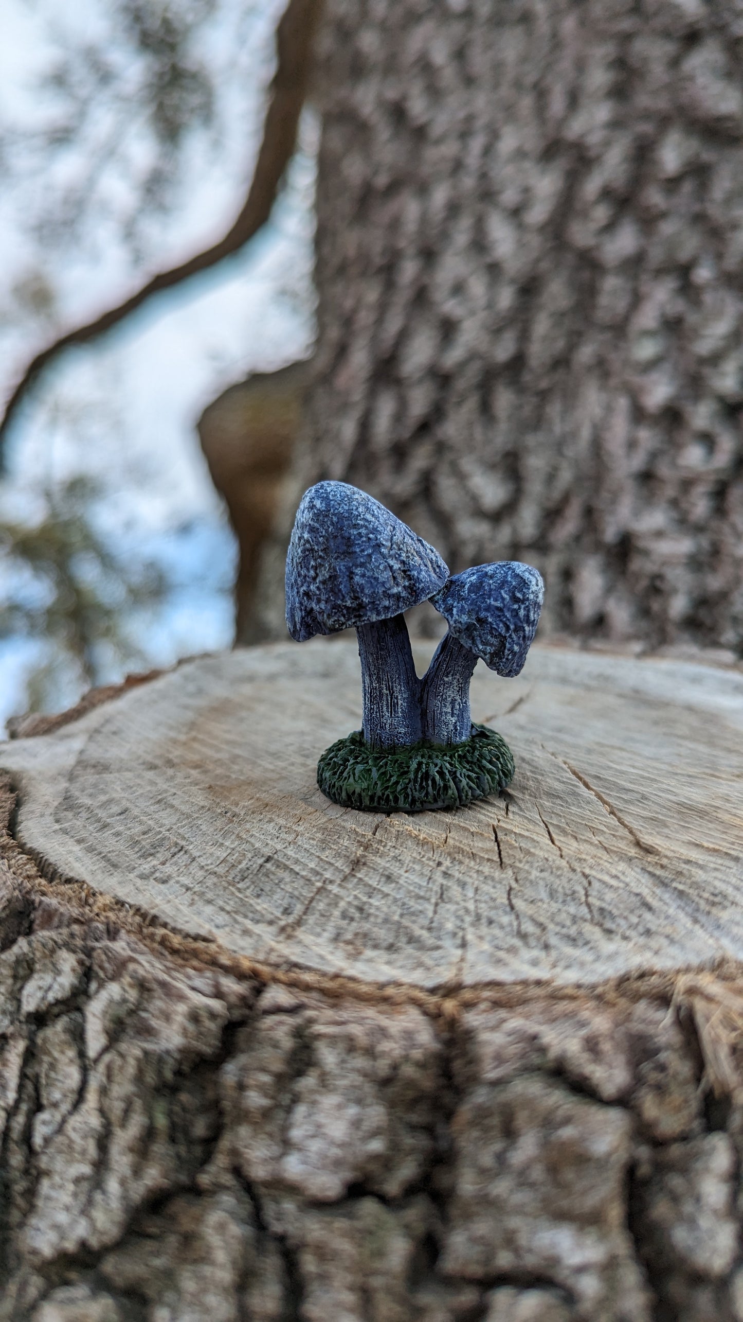 Hidden morels