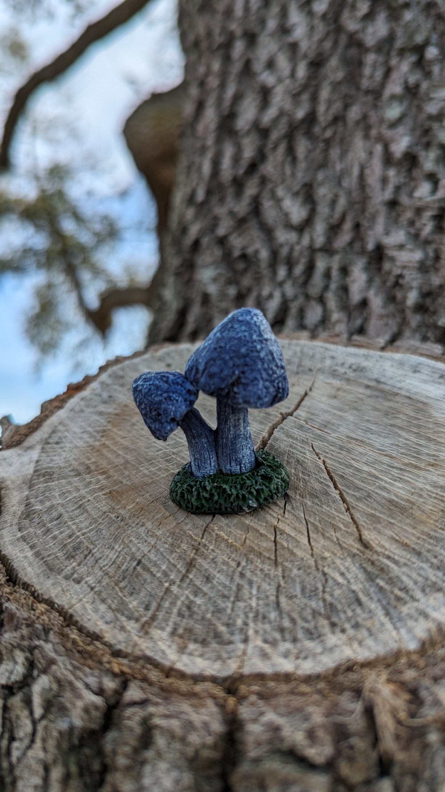 Hidden morels